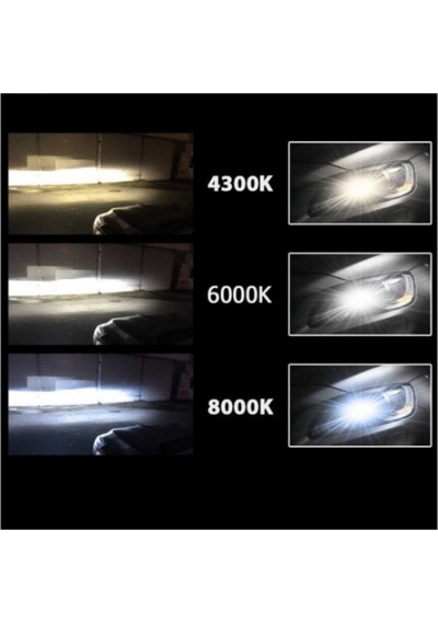 Megamarket06 D4r Xenon Oto Ampul 4300k