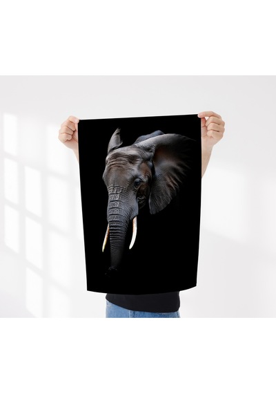 Çerçevesiz Poster,4'lü Hayvan Posterleri Aslan,panter,fil,at Dijital Baskı Karanlık Tema