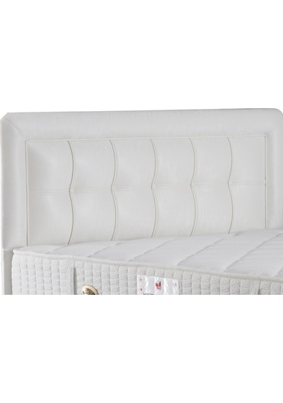 Sunsayatak Sünsa Venüs Başlık 160 Cm