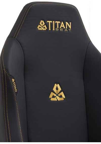 Seat Throne Leather Gold Oyuncu Koltuğu Diğer