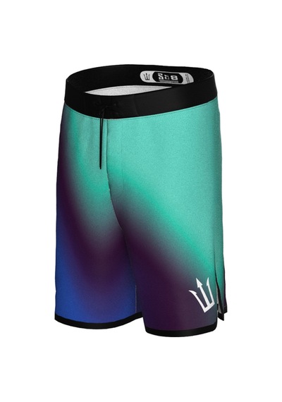 Pose I Down Aurora Veil Boardshort Erkek Fizik Ve Deniz Şortu Mavi