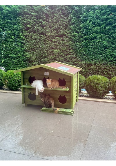 Pati Emlak Ahşap Kedi Evi 6 Yuvalı Pati Emlak Kedi Kulübesi