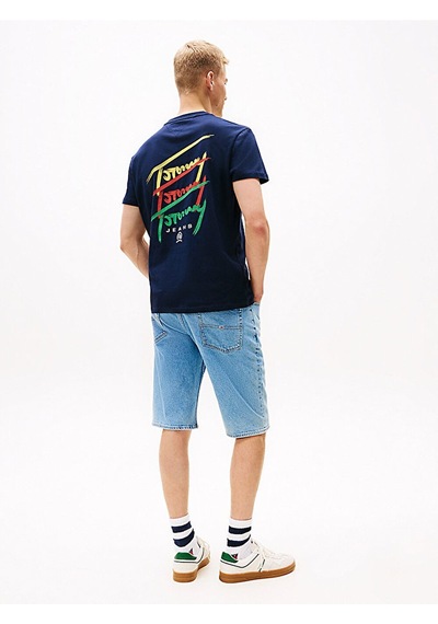Tommy Hilfiger Tommy Hılfıger Erkek T-shırt Dm0dm20771-c1g Lacivert