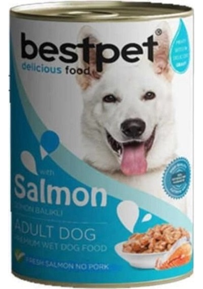 Bestpet Jöle İçinde Parça Etli Somon Balıklı Konserve Yetişkin Köpek Maması 400 G