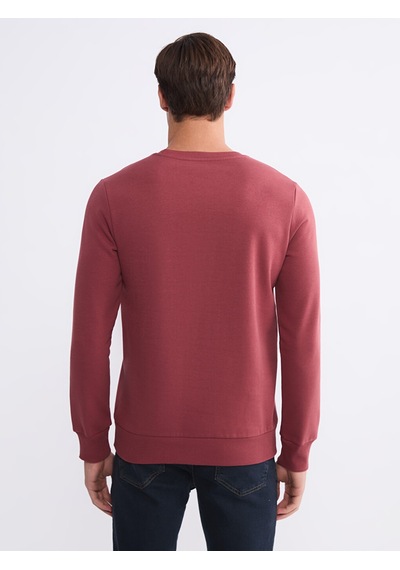 Lcwaıkıkı Classic Kırmızı Bisiklet Yaka Baskılı Erkek Sweatshirt