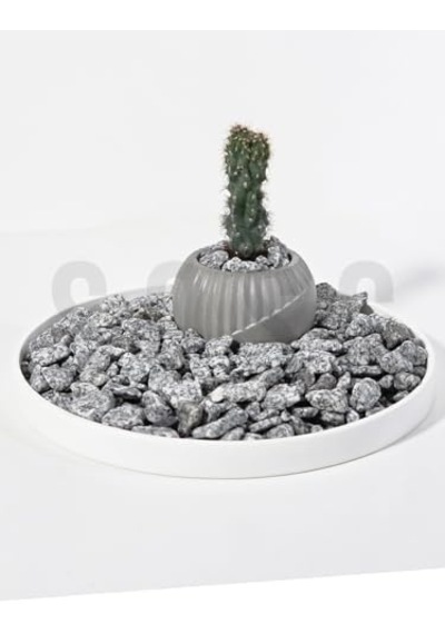 Natural Granit Dekoratif Çakıl Taşı, Gri Beyaz, 1-2 Cm, 3 Kg, Bahçe Peyzaj Saksı Akvaryum Teraryum İçin Doğal Taş
