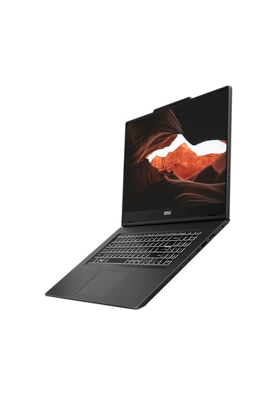 MSI Venture Pro 17 A2RWEG-027XTR-P08 Core 7 240H 32 GB 1 TB SSD RTX5050 17.3" W11P Dizüstü Bilgisayar + Çanta