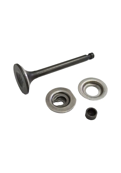 Briggs & Stratton Egzoz Supabı B&s Xr1450 B592612