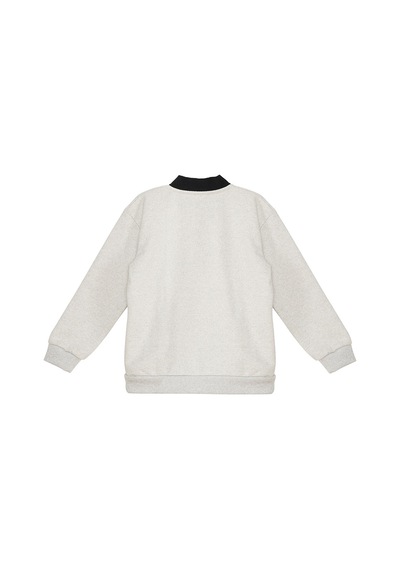 Denokids Mshb&g Kurt Erkek Çocuk Sweatshirt - Gri