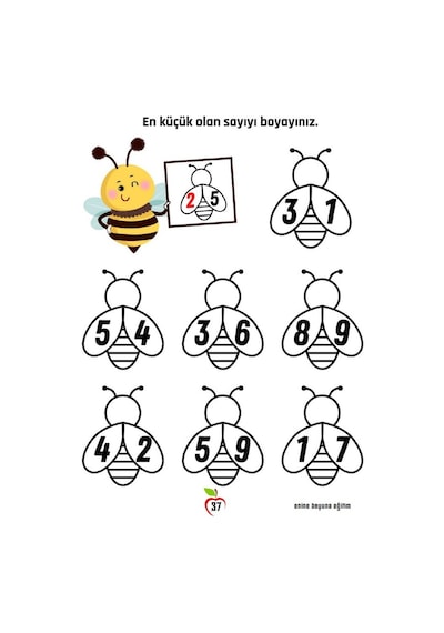Okul Öncesi Ve 1. Sınıf Matematik Alıştırmalar Kitabı 2 Fasikül