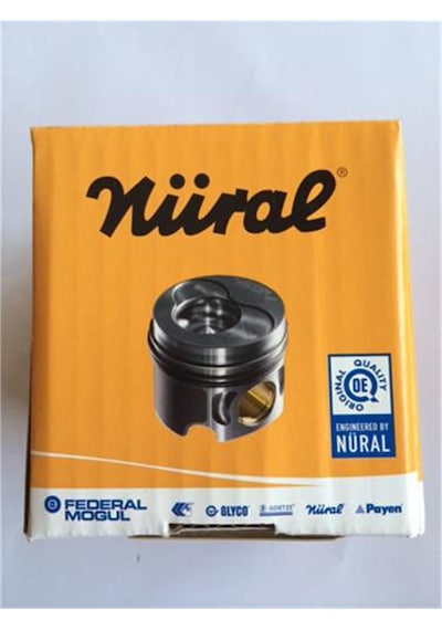 Piston Segman Adet 1.00 Mm F8q Kango -