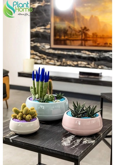 Elvan Aranjman Saksı 0,86 Litre Soft Pembe 17cm Menekşe Kaktüs Sukulent Saksısı Parlak Plastik 1