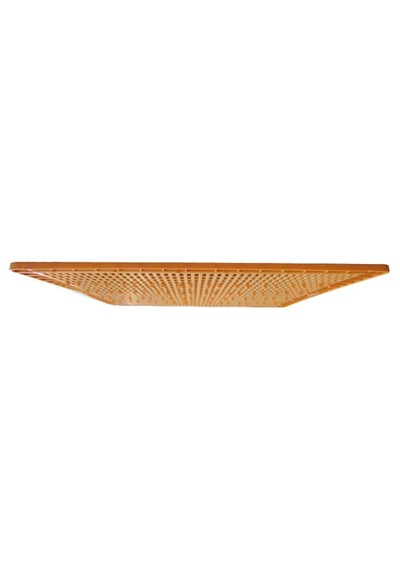 Ergonomik Kovan Ana Arı Izgarası 42X49 - Arıcılık