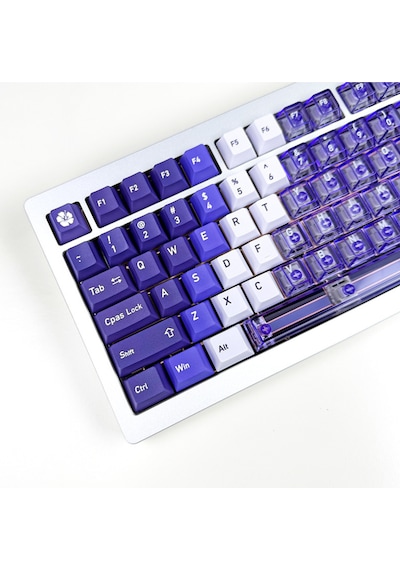 Mekanik Klavye Tuş Takımı 119 Tuş Keycaps Pbt Süblimasyonlu Çift Renkli Klavye Başlığı