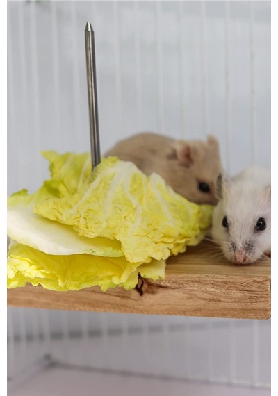 Çivili Meyve Sebze Asmalı Kuş, Hamster Asılı Tünek, Kuş Mama Tutucu, Doğal Ahşap Kuş Kafesi