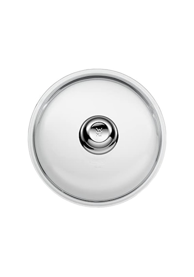 Cam Kapak 24 Cm Çok Renkli