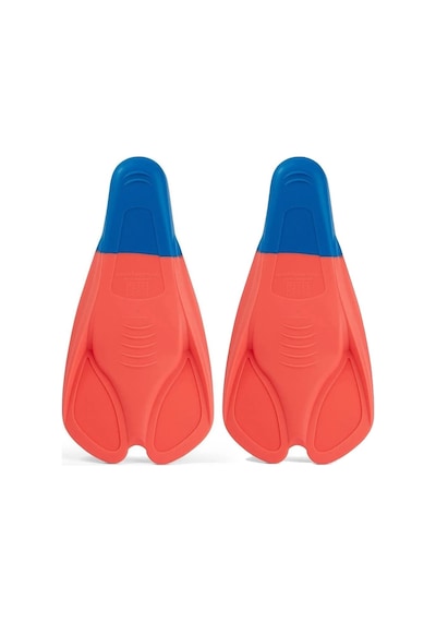 Speedo Training Fin Antrenman Paleti Çok Renkli