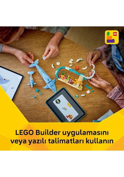 LEGO® Creator 3'ü 1 Arada Deniz Hayvanları: Güzel Yunuslar 31385 – 9 yaş ve üzeri çocuklar için Yaratıcı Oyuncak Yapım Seti (542P)