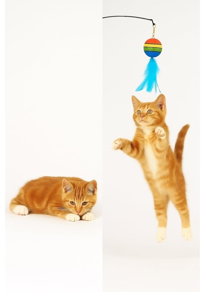 Vakumlu Tüylü Kedi Oltası Çıkarılabilir Çıngıraklı İnteraktif Ve Eğlenceli Kedi Oyuncağı Eller