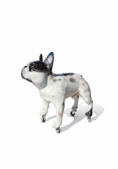 Dev Boyut 60 Cm Tekerlekli French Bulldog Heykeli - Lüks Zemin Dekorasyonu