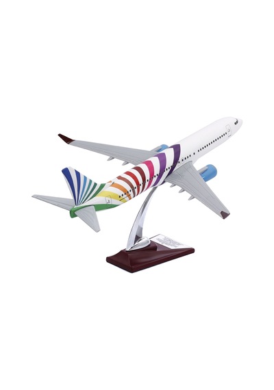 Zekupp - Maket Uçak - Boeing 737-800 1/100 - RENKLİ ÖZEL TASARIM Model Uçak
