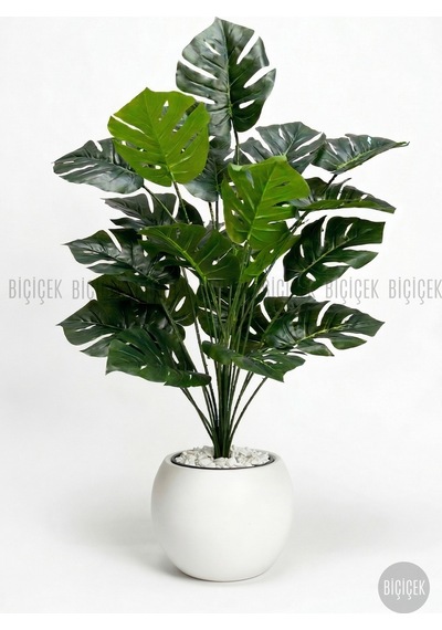 Biçiçek Yapay Monstera Deve Tabani Bi̇tki̇si̇ 65 Cm Beyaz Küre Saksıda