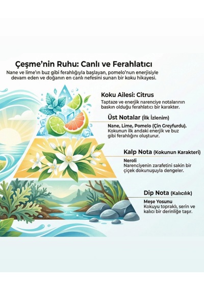 Oxi Natural Premium 80 Kolonya 220ml Cam Şişe Kutulu - Çeşme