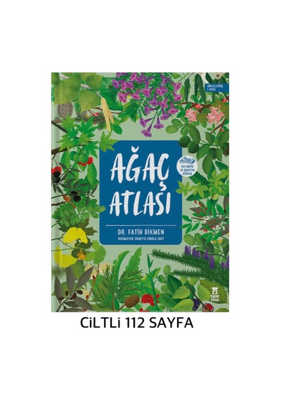 Su Altı Atlası - Ağaç Atlası - Hayvan Atlası - Kuş Atlası - Böcek Atlası Ciltli +2 Dev Boyama Posteri Hediye