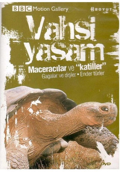 Bbc Motion Gallery - Vahşi Yaşam Maceracılar Ve Katiller Gagalar Ve Dişler Ender Türler - Dvd