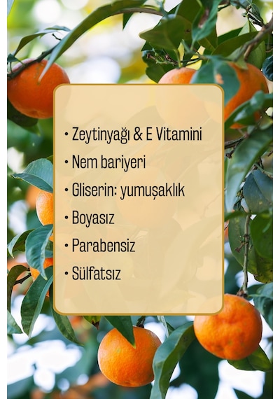 Ambrosia 2 Li Set %100 Doğal Zeytinyağlı Mandalina Kokulu Duş Jeli Ve El Sabunu, 1250 Ml