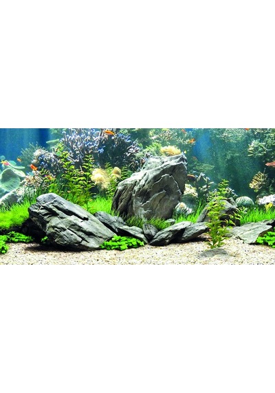 Kanki Pet Kp10552034 Akvaryum Arka Fon Yapıştırma 105 X 52 Cm