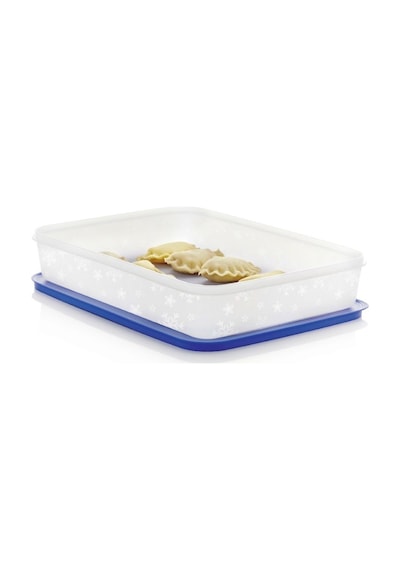 Tupperware Alaska 225 L Buzluk Saklama Kabı Asn N1140663