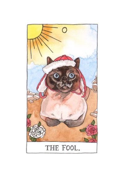 Cat Tarot 78 Cards - Kedi Tarot Kart Destesi