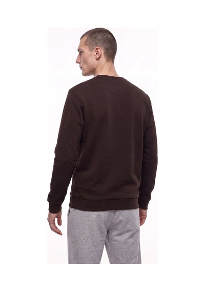 Discovery Expedition D5wm-swt3940 Kahverengi Erkek Sweatshirt Koyu Kahverengi