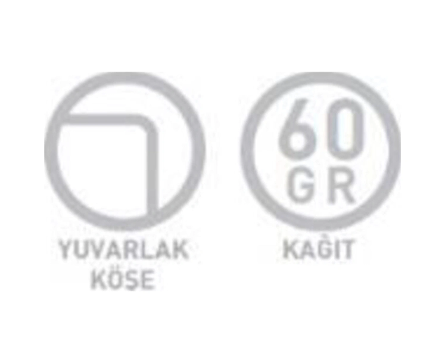 Punto A4 Spiralli Pp Kapak Defter 200 Yaprak Çizgili 2 Li Paket 6546