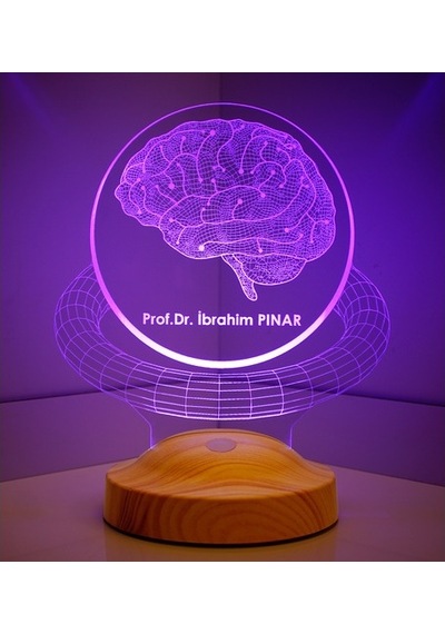 3D Profesör Doktor Beyin Hediyesi Kişiye Özel 3 Boyutlu Led Lamba