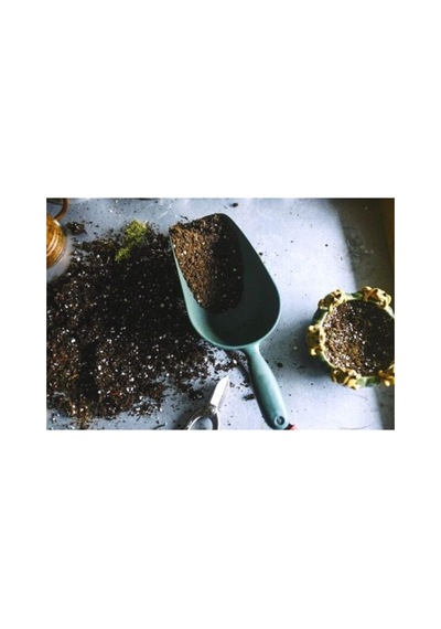 Kaktüs Toprağı 10 Lt Sukulent Toprağı Aloe Vera Toprağı Ithal Torf Pomza Perlit Vermikulit Karışımı Diğer