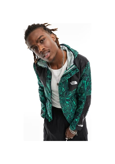 The North Face Seasonal Mountain Jacket Erkek Kapüşonlu Spor Ceket Yeşil Yeşil
