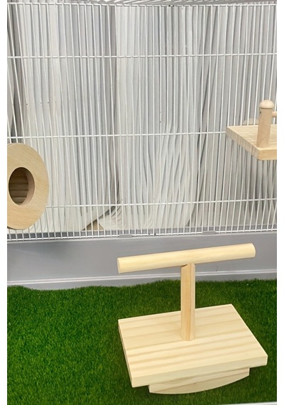 Doğal Ağaç Kuş Oyun Platformu - Muhabbet Kuşu, Conure, Sultan Papağanı İçin Zeka Oyuncağı