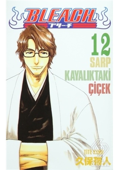 Bleach 12 - Sarp Kayalıktaki Çiçek- Gerekli Şeyler