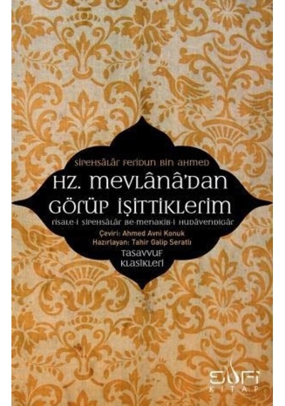 Hz. Mevlanadan Görüp  Işittiklerim
