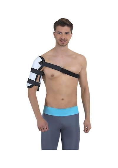 Code 210 Humerus Breysi No 1