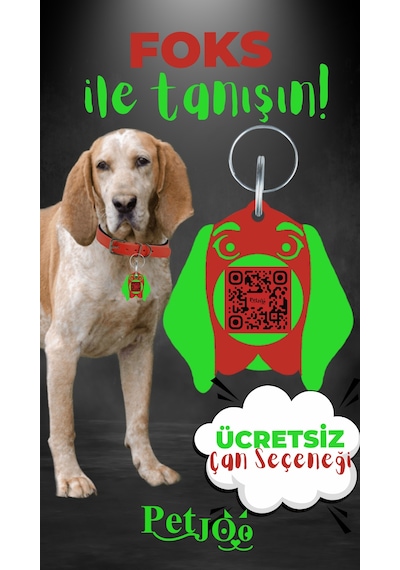 Petjoo 29.Foks Yeşil-Kırmızı Qr'lı Köpek Künyesi