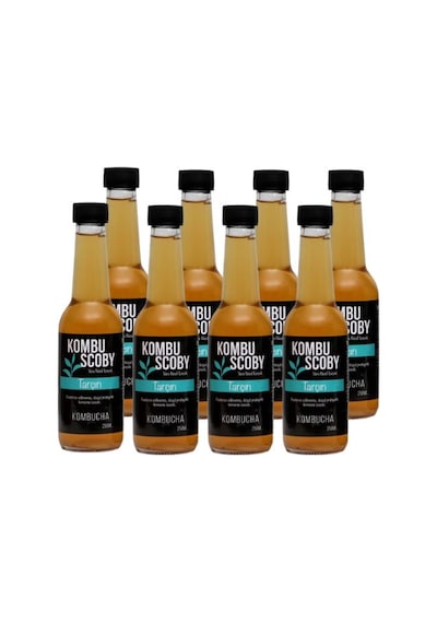 Kombu Scoby Kombucha Tarçın Yeni Nesil İçeçek 8 x 250 ML