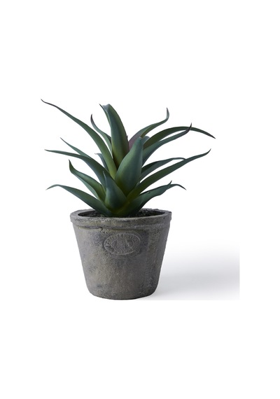 Yargıcı Yapay Bitki Sukulent 20x21 Cm 26knha1100t St
