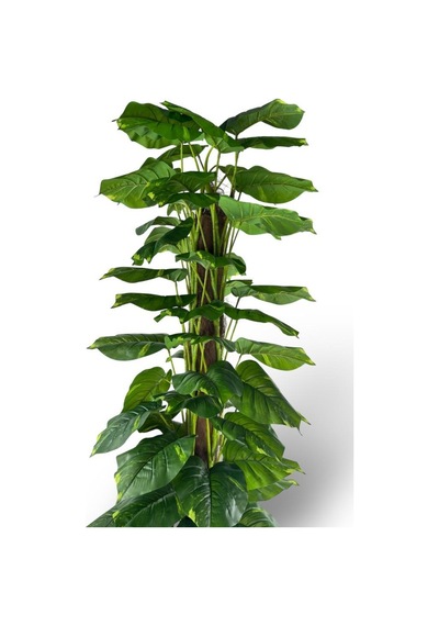 Yapay Çiçek Pothos Salon Sarmaşığı Tropik Salon Bitkisi Yapay Ağaç 165cm