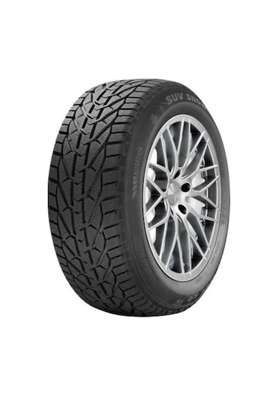 Riken 195/65 R15 95T Snow XL Kış Lastiği 2025
