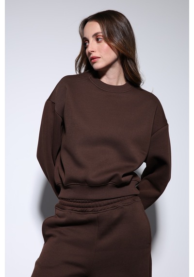 Antioch Basic Kadın Sweatshirt Kahve
