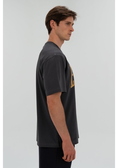 Everlast Ever Classics Comfort Logo Gri Erkek Tişört Tm0045-415