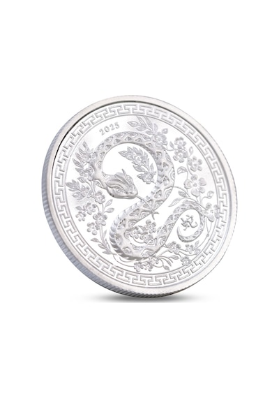 Agakulche Yılan Figürlü Gümüş Sikke Coin